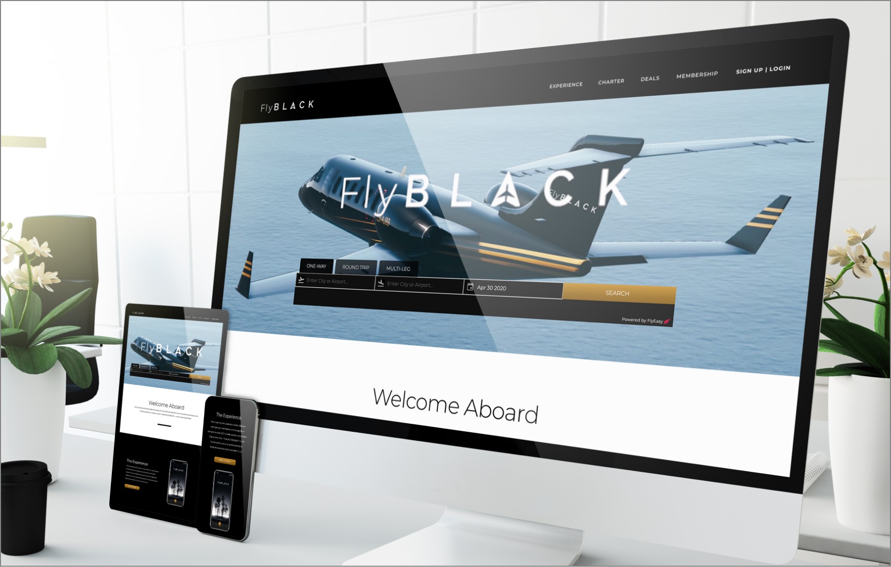 FlyBLACK website designs